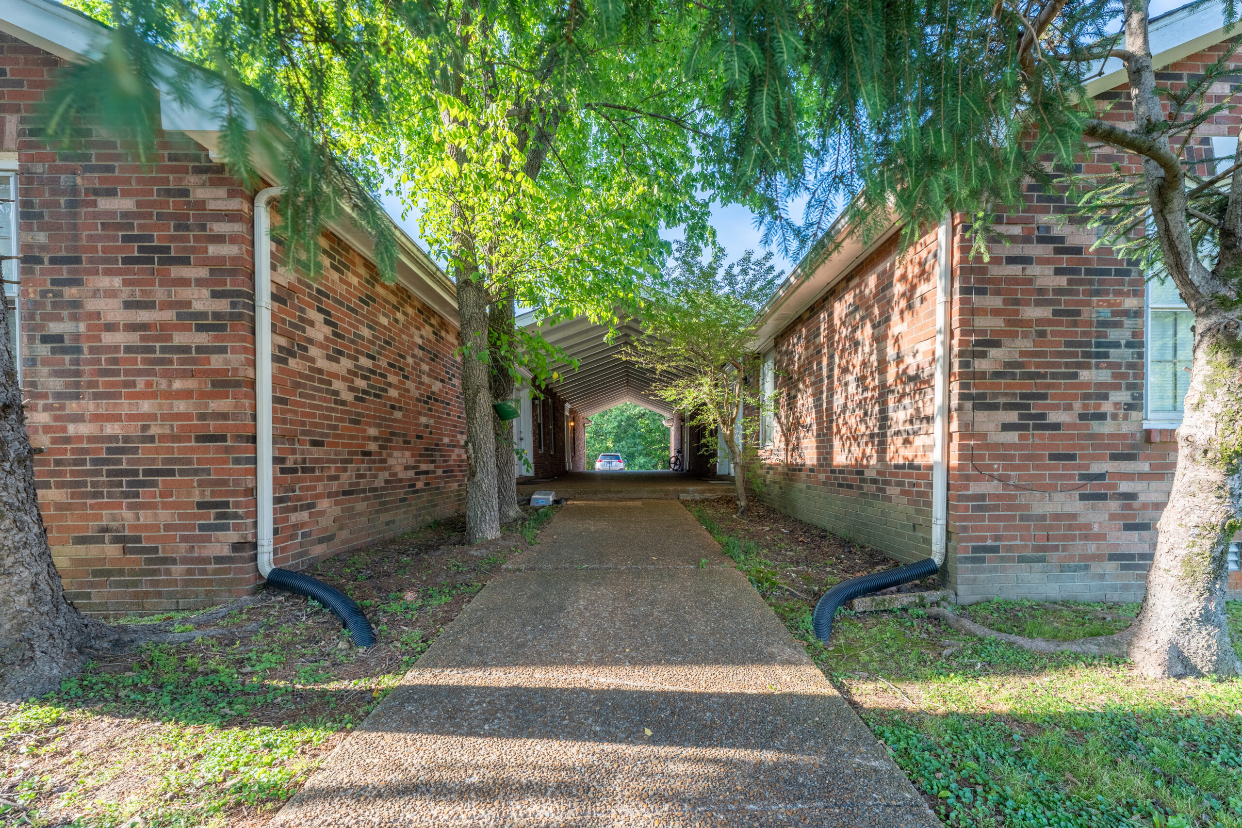 Hibiscus 6 - Image 12