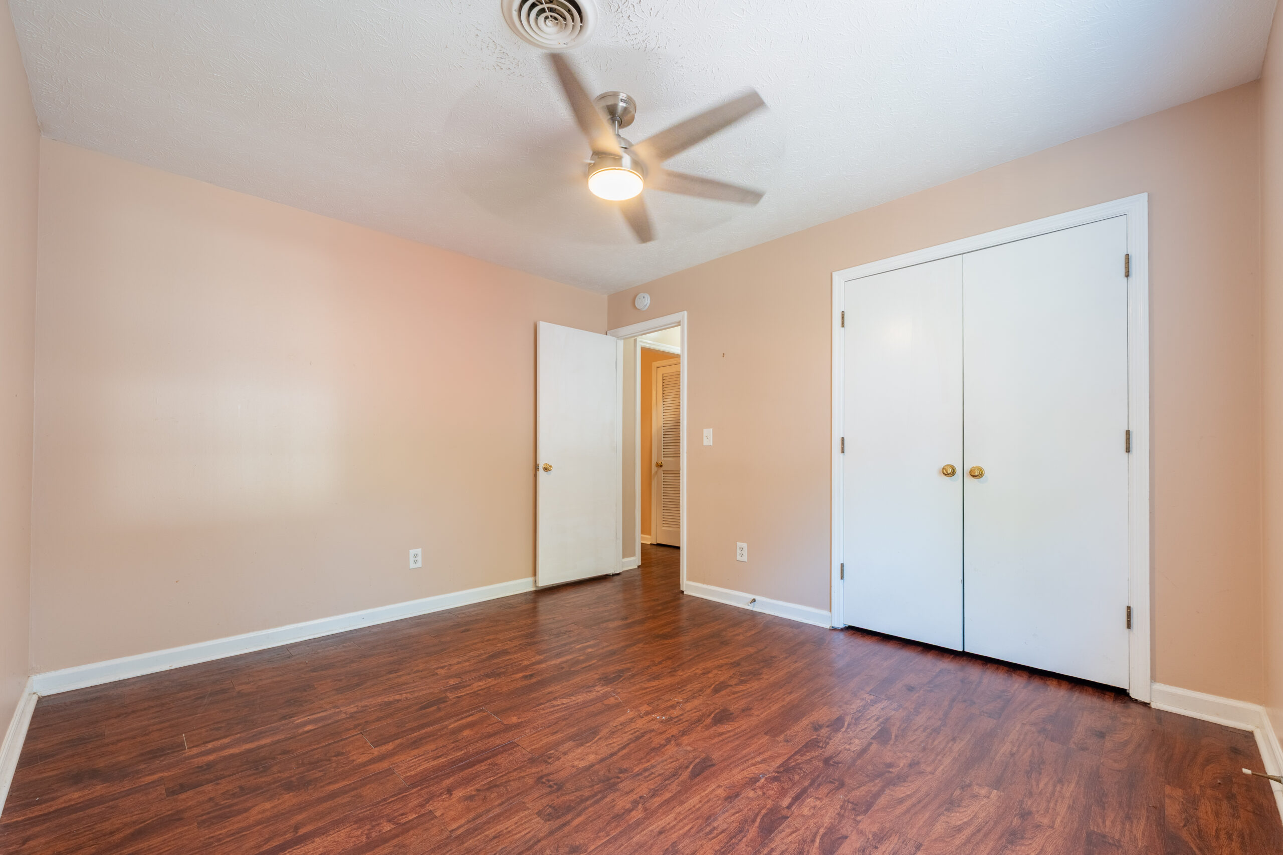 Hibiscus 6 - Image 11